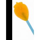 Szilikon jégkrém készítő forma - gyümölcsös