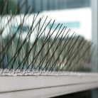 Madárriasztó tüskék