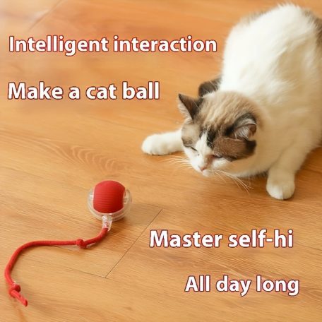 Whisker Wonders USB újratölthető interaktív macskajáték labda