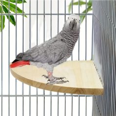   Stabil és biztonságos madár állvány – Könnyen felszerelhető sarokállvány