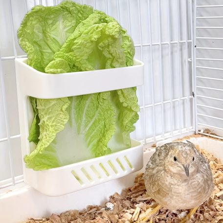 1db Gyümölcs Zöldség Tároló Tál Madaraknak